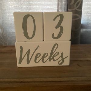 Baby Milestone Blocks